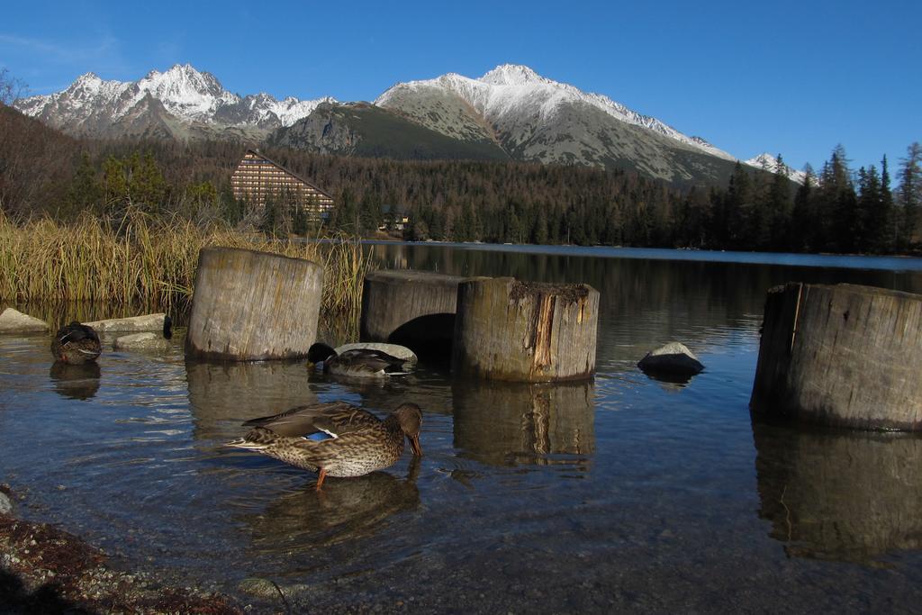 Apartman Strbske Pleso - Crocus 219 Szoba fotó